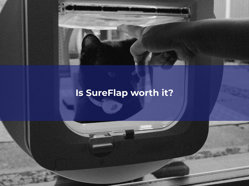 Are SureFlap doors worth it? Here's a quick peek into the realistic trade offs and considerations